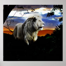 Leão na selva poster