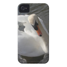 Levantamento da cisne iPhone 4 capa