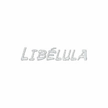 Libélula Moletom Com Capuz