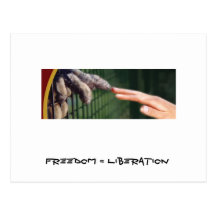 Liberdade = libertação cartoes postais
