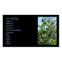 lilac cartão de visita