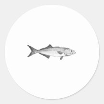 Linha logotipo da anchova da arte adesivos