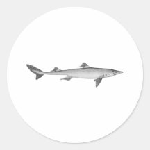 Linha logotipo das cações da arte adesivo