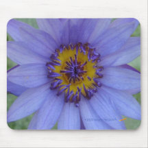 Lírio de água azul Mousepad