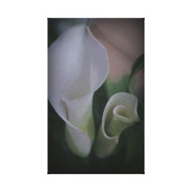 Lírios de Calla brancos Impressão Em Canvas