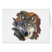 Lobo cinzento cartões