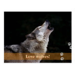 Lobos do amor! - cartão do cão cartão postal