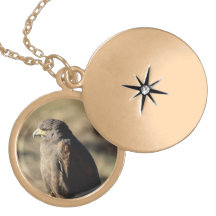 Locket bonito da colar dos pássaros