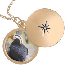 Locket bonito da colar dos pássaros