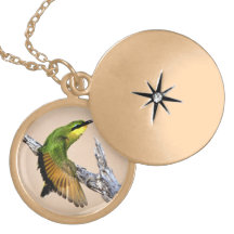 Locket bonito da colar dos pássaros