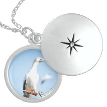 Locket bonito da colar dos pássaros