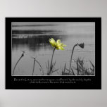 Lotus e poster inspirador das libélulas