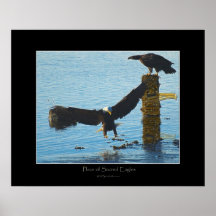 LUGAR do poster SAGRADO da arte de EAGLES