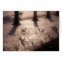 lumiere de matin cartões