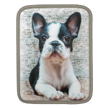 Luva do riquexó do ipad do buldogue francês bolsas para iPad