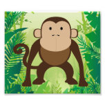 Macaco bonito impressão de foto