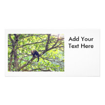 Macaco e bebê da mãe na selva cartoes com foto