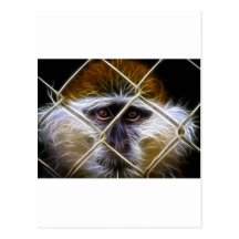 Macaco elétrico da cerca cartões postais
