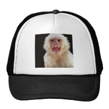 Macacos Bones