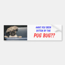 Manda você beenbitten pelo, INSETO do PUG?? Adesivo