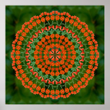 Mandala 2 de Pomegrante Poster
