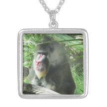 Mandrill Colar Personalizado