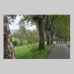 Manhã enevoada na cópia de Provence posters