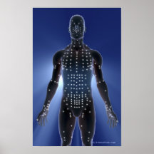 Mapa claro de pontos da acupunctura posters