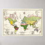 Mapa da vegetação do mundo Grisebach, A. 1866 Poster