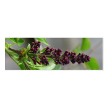 Marcador bonito do Lilac Modelo Cartoes De Visitas