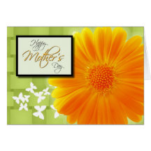 Margarida alaranjada do dia das mães feliz floral cartoes