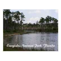Marismas parque nacional, Florida Cartões Postais