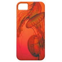 medusa iPhone 5 capa