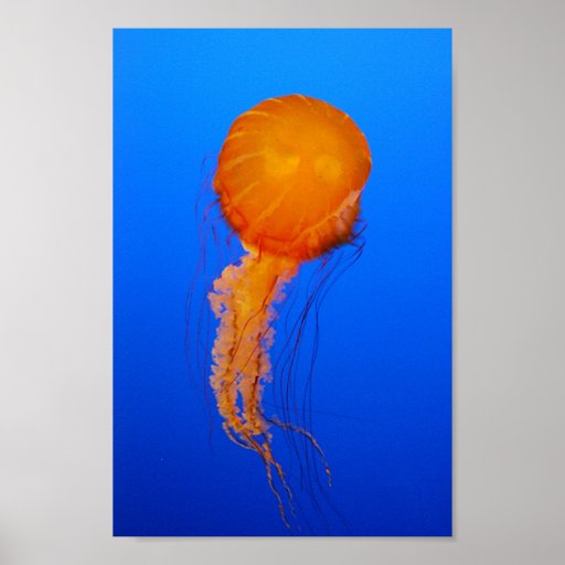 Medusa Posters
