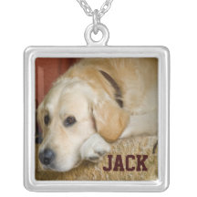 Meu cão Jack - modelo da foto Colar Personalizado