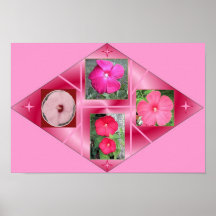 MEU HIBISCUS POSTER