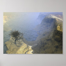 Meu mundo poster