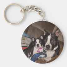 meus filhotes de cachorro chaveiros