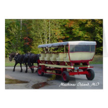 michigan_trip 024, ilha de Mackinac, MI Cartão