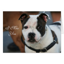 Mim cartão da senhorita Você Staffordshire bull te