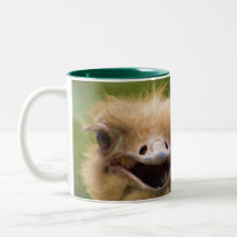 Minha avestruz da caneca