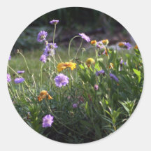 Mini jardim adesivos