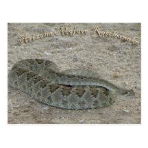 mojave cartoes postais