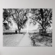 Monumento de Chalmette: 1900 Posters