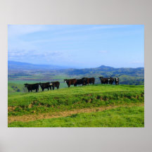 MOO! POSTERS
