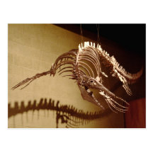 Mosasaur - do "lagarto mar " cartões postais