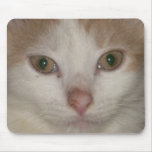mousepad da cara 1 do gatinho