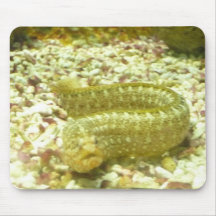 Mousepad do animal de mar
