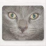 mousepad do gatinho face2 - cinza