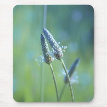 Mousepad dos amantes da planta